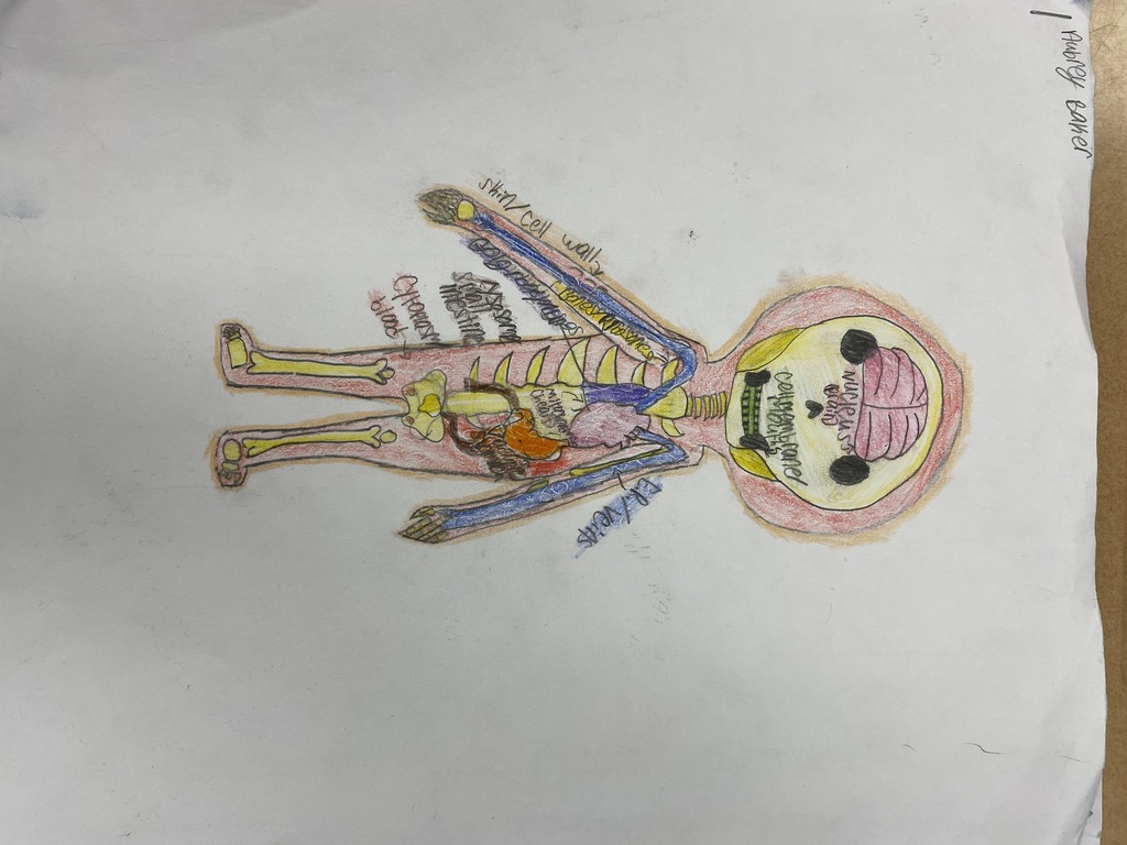 Such Detail and connection to the human body. Nice Job Aubrey.