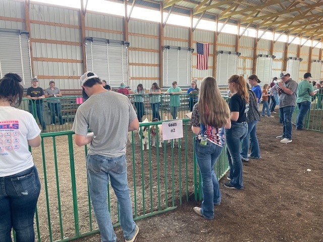 NH FFA Members left at 6:00 to participate in the Gold Buckle Horse and Livestock Judging Event in Ottomwa this morning. Great day to watch students do what they love. Results later.
