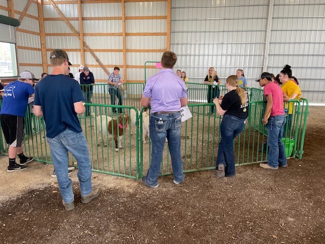 NH FFA Members left at 6:00 to participate in the Gold Buckle Horse and Livestock Judging Event in Ottomwa this morning. Great day to watch students do what they love. Results later.