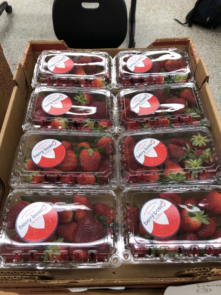 Thank you to everyone who made our strawberry fundraiser a huge success. We sold 225 flats of strawberries and made $2,574.00; which we will save to put towards two new ovens for our classroom. I plan on doing this again next year as the strawberries were delicious. I made strawberry jam and fresh strawberry pies and shared them at school. 