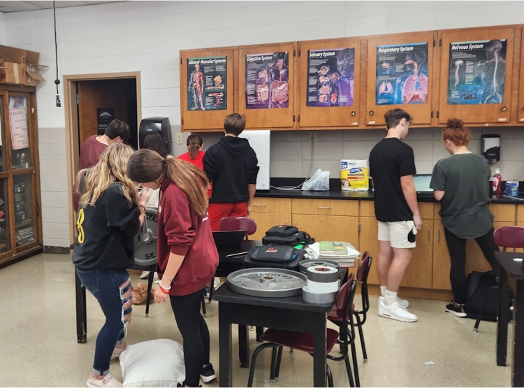 Physical Science students test out their experimental procedure in their Consumer Testing PBL unit