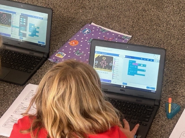 Third grade students working with the program called Makecode. They coded an emotion and worked on coding a star to light up when the room gets dark.  